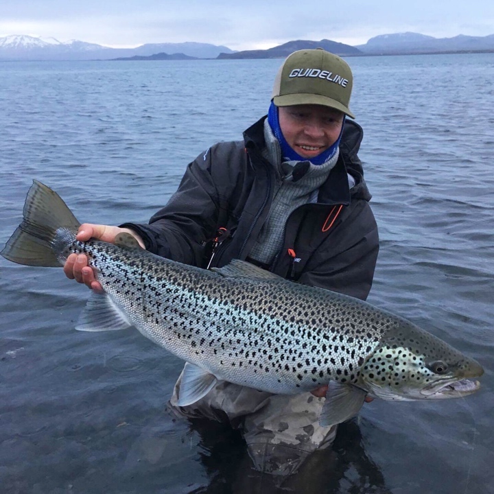 Trout, brown, caught by Lars Marius Bjørnstad.